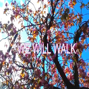 We Will Walk - Original Christian Worship Song